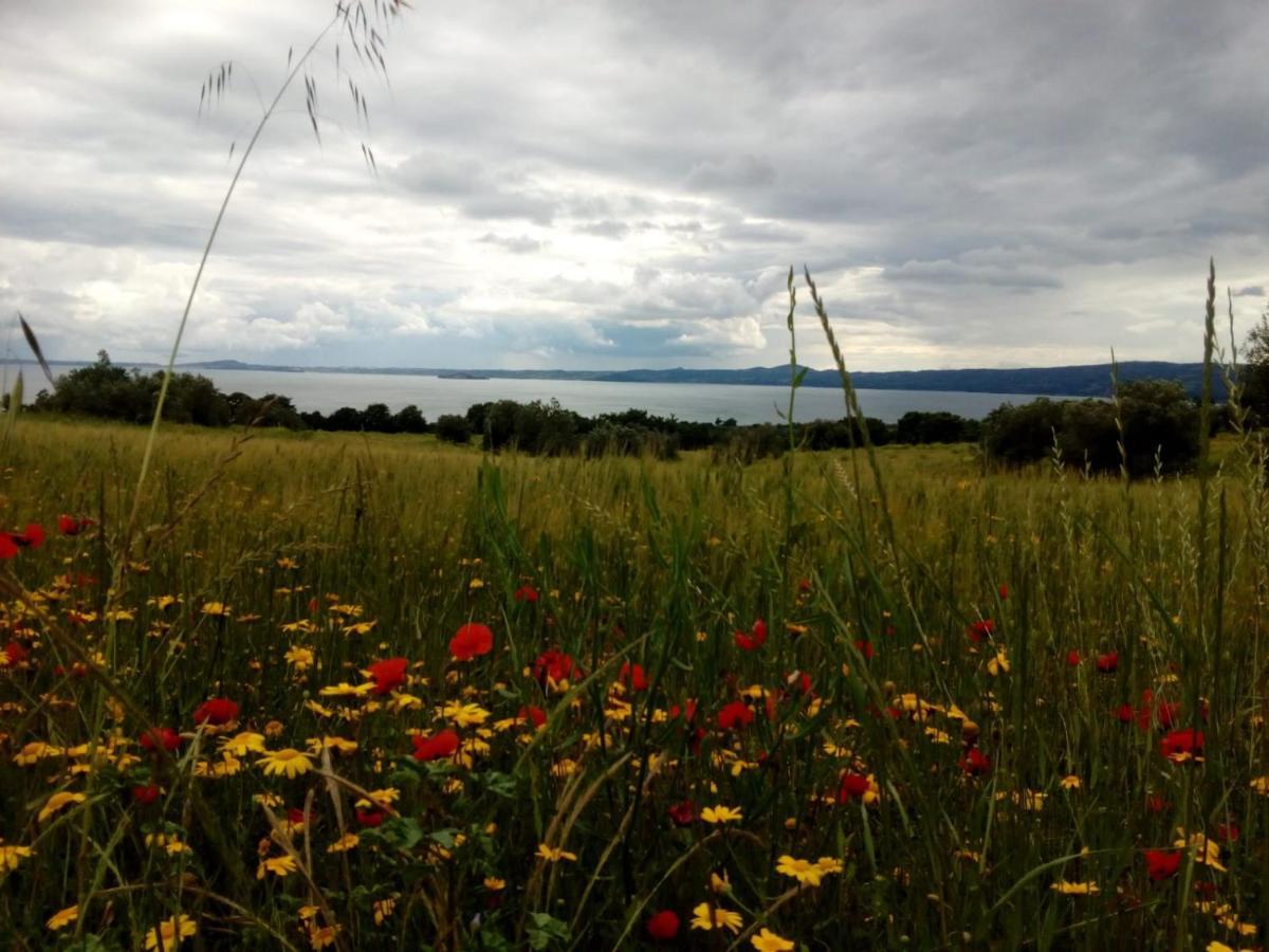 Bed and Breakfast Antico Borgo Bagnoregio Zewnętrze zdjęcie